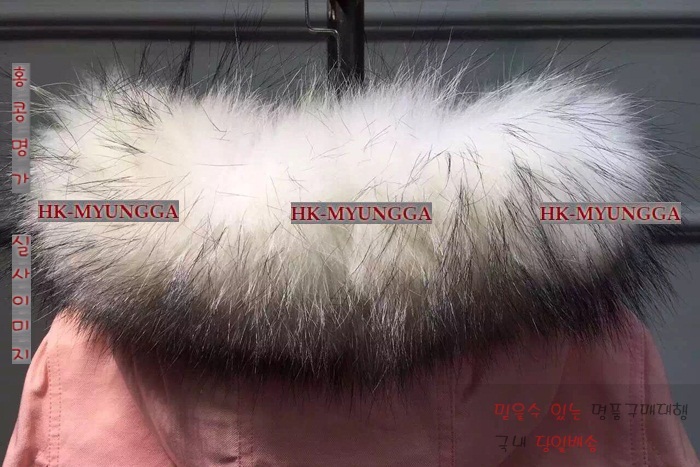 ��Ŭ�����е� ���� ��ǰ �е� �Ż� MO77145-1